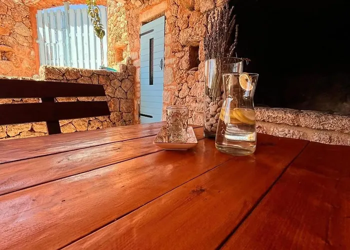 Kolonjicha Dvori 펜션 *