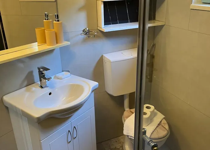 Kolonjicha Dvori 펜션 *